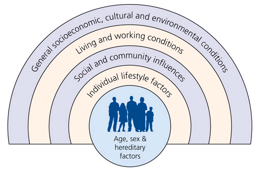 1. Age, sex and hereditary factors. 2. Individual lifestyle factors. 3. Social and community influences. 4. Living and working conditions. 5. General socioeconomic, cultural and environmental conditions