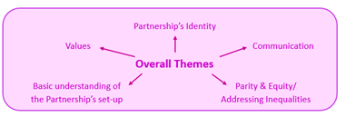 This image shows the other themes: Partnership's identity, communication, parity and equality, and addressing inequalities, basic understanding of the Partnership's set-up, values